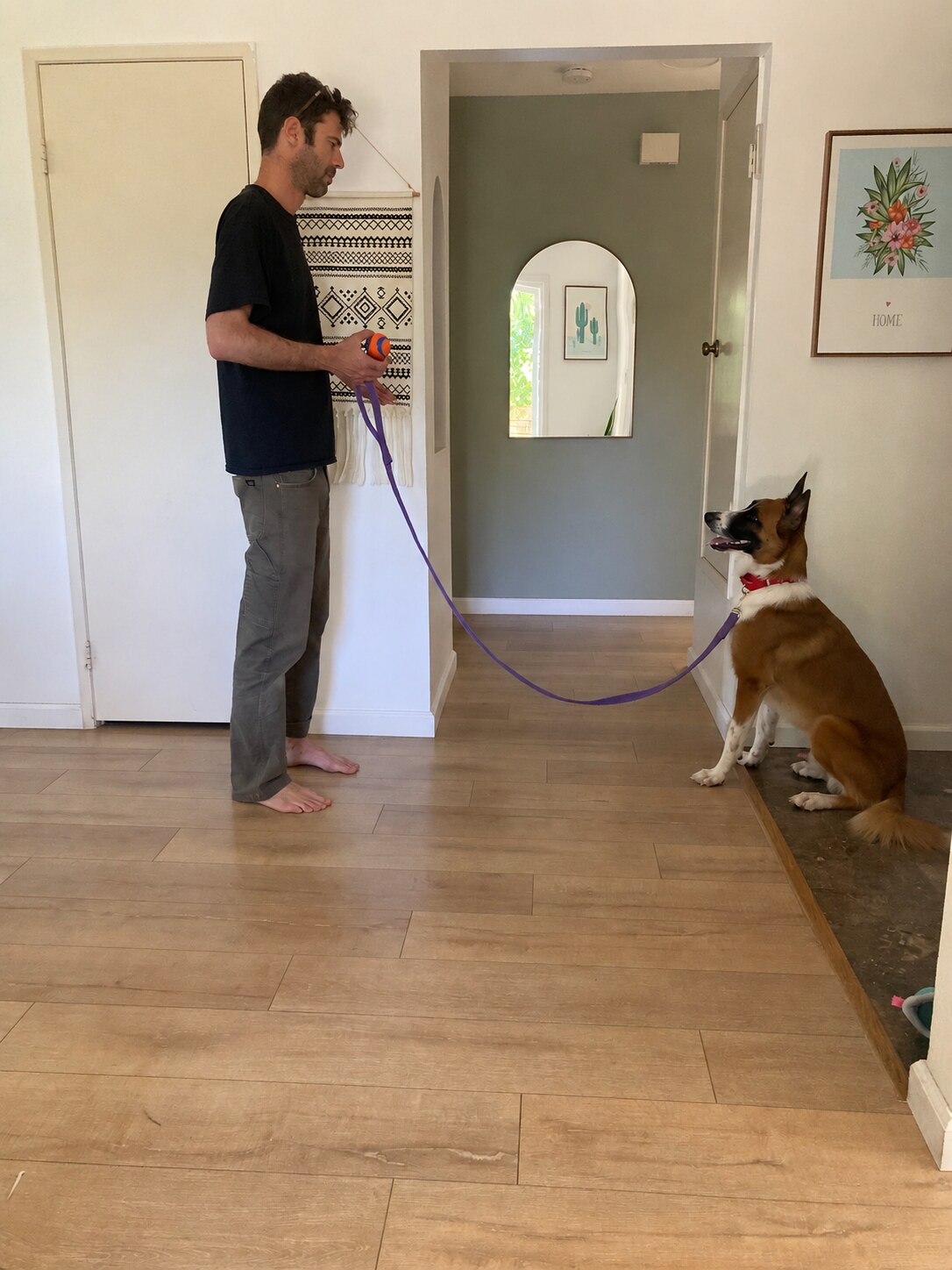 Raam working with an attentive dog during a private lesson in the client’s home